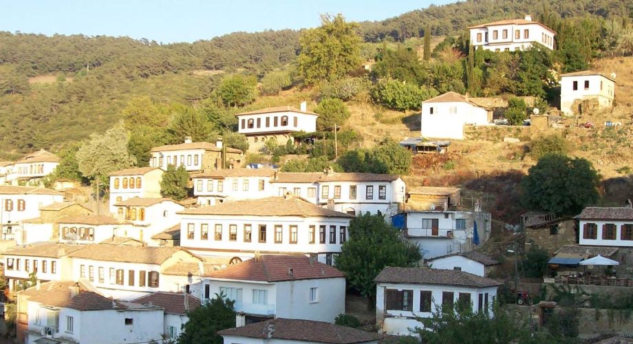 Ephesus & Temple Of Artemis & Terrace Houses & Sirince Village 