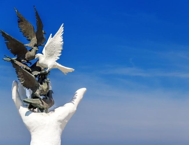 Detailed information about Kusadasi